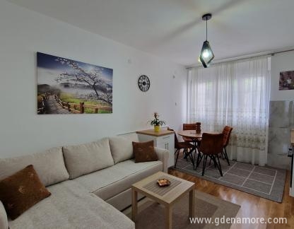 Apartments Boro, private accommodation in city Šušanj, Montenegro - ougčli